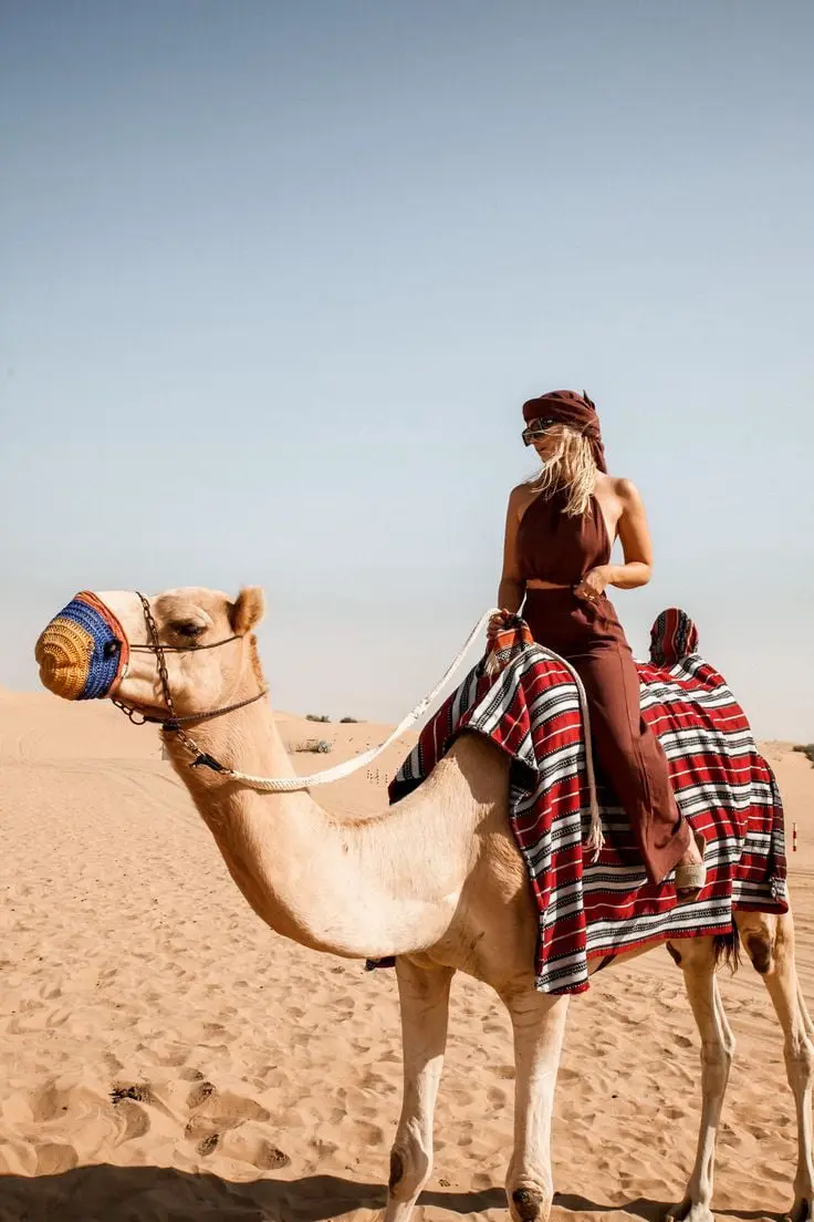 y2say business travel